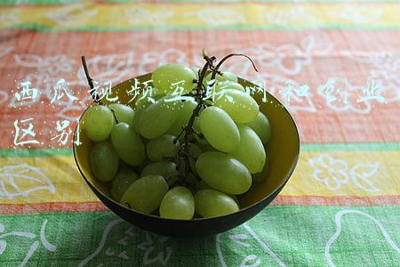 西瓜视频互联网和创业区别 西瓜视频互联网和创业区别