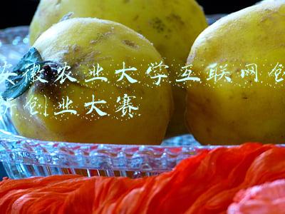 安徽农业大学互联网创新创业大赛