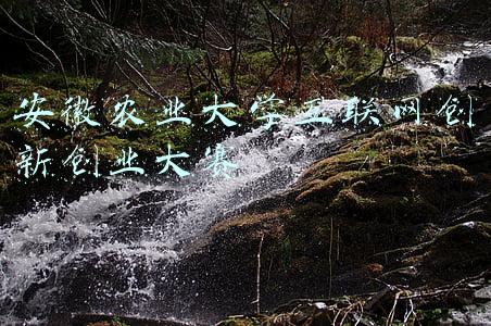 安徽农业大学官网(安徽农业大学)