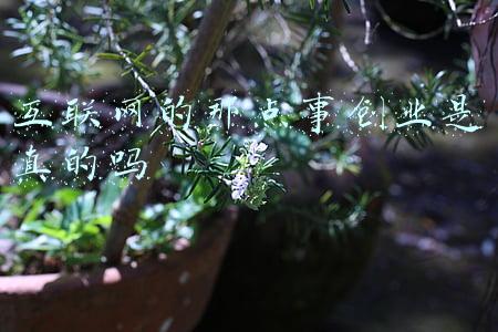 六块六毛六那点事(巩汉林：欲擒故纵套路金珠，因赵丽蓉临终一句话10年不上春晚)