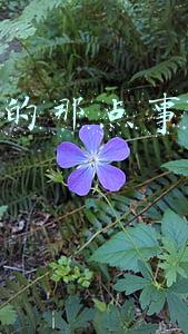 互联网那点事(用互联网思维解决互联网那点事儿)