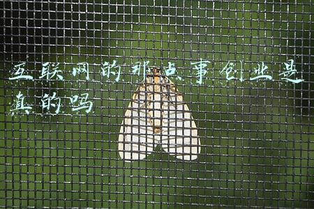 高清男女那点事图片(全裸出镜？乱伦产子？全程马赛克才能播的戛纳金棕榈)