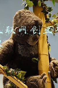 抚顺互联网创业项目加盟代理