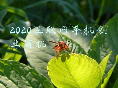 2020互联网理财规模(2021年末银行理财存续规模超28万亿“一元起购”产品超四成积极揽客)
