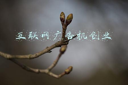 网络广告机(网络液晶广告机_多媒体信息发布系统载体)