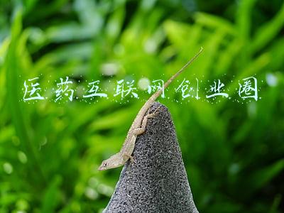 医药互联网创业圈