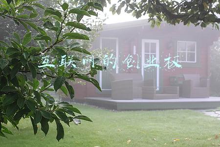 互联网的创业板