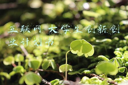 互联网 大学生创新创业计划书