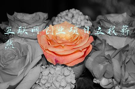 互联网创业项目立找薪然