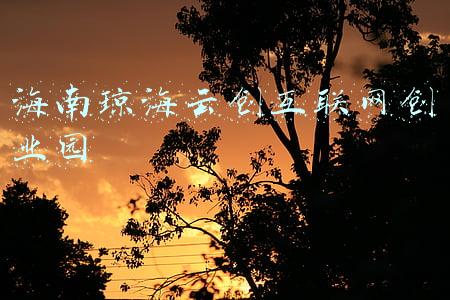 海南创新创业项目(海南省人大代表建议在文昌设立省级侨商侨企创新创业园区)