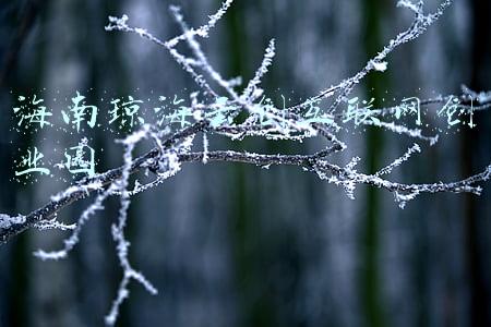 海南琼海房价(1月三亚哪里的房子有潜力？看琼海琼海房价走势)