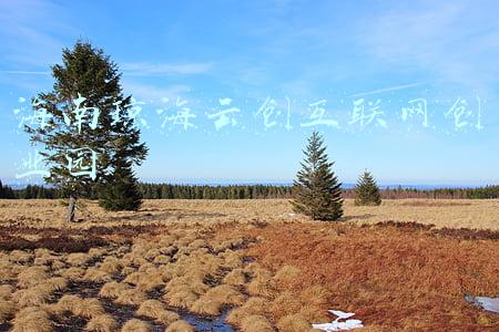 海南琼海(海南琼海疑似啤酒瓶爆炸致2死3伤，政府称原因正在调查)