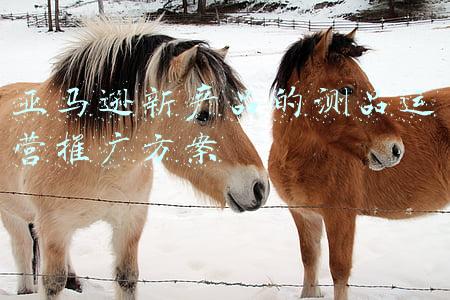 亚马逊怎么推广产品(亚马逊新品到底要怎么推广？关键胜在前期营销计划)