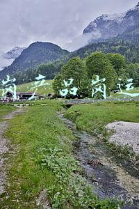 测试岗产品岗运营岗