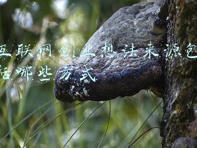 产生创业想法的途径有哪些(怎么样创业？如何选择创业项目？)