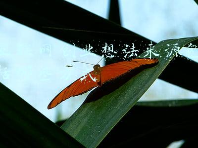 互联网创业想法来源包括哪些方式