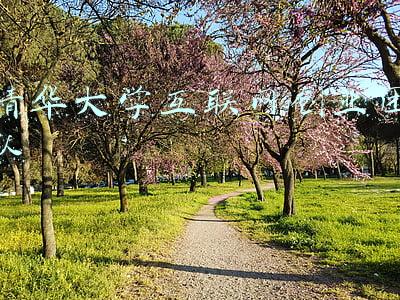 清华大学互联网创业团队