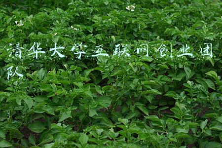 清华能源互联网(我们的当打之年｜清华四川能源互联网研究院鲁宗相：在四川构建一个全清洁化的能源供给体系)