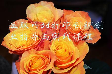 互联网3d设计平台(从基础到大师，从雕刻到自动，细数12款常用3D建模软件)