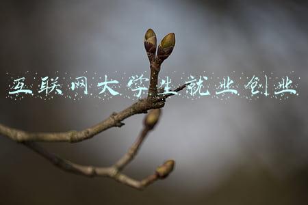 互联网大学生就业创业