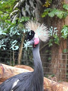 安徽发展互联网医疗(喜迎省党代会｜安徽“15分钟就医圈”基本形成 四级远程医疗体系逐步建立)