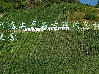 网店上产品亏钱的怎样运营