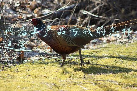 网店上产品亏钱的怎样运营