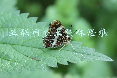 互联网创业整体思维