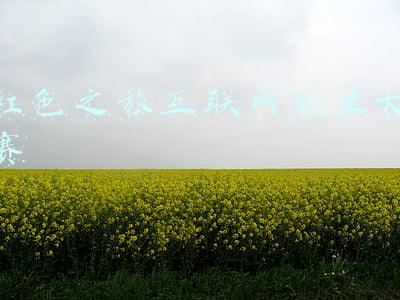 红色之旅互联网创业大赛