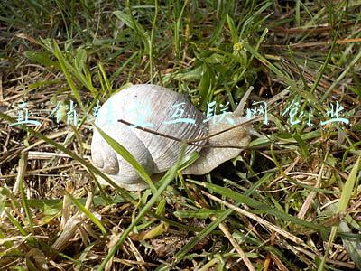 互联网直销平台(测评 | 8只权益基金销售渠道大比拼：哪里买最便宜？)