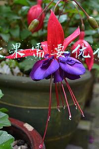 去痘印效果好的产品(TOP10祛痘印产品大比拼 最有效的祛痘印产品‼️)