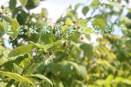 运营效果需要优化的产品