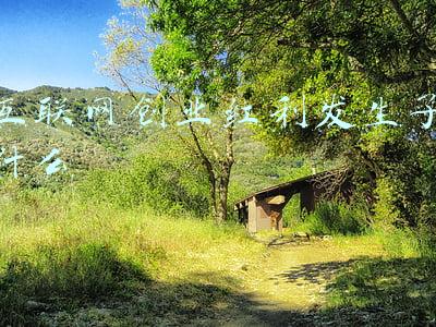 互联网红利什么意思(互联网红利还有多久？)