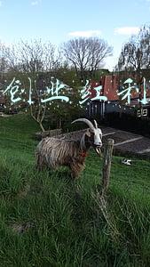 互联网创业红利发生了什么