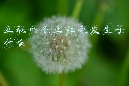 互联网创业红利发生了什么