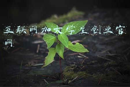 互联网加大学生创业官网