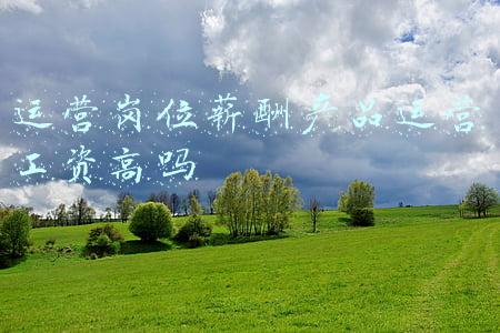 运营岗位薪酬产品运营工资高吗