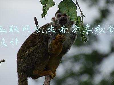 互联网创业者分享初创设计