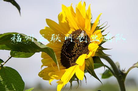 福州互联网创业团队