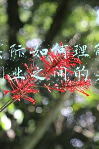 互联网与旅游业的结合(「春天里的两会」“互联网+”推动旅游发展)