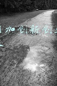 互联网加创新创业大赛田洪波