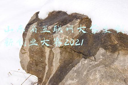 山东省第二届数据应用创新创业大赛(山东省第二届数据应用创新创业大赛\n圆满落幕)