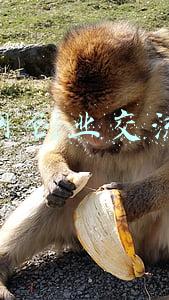 互联网创业交流群名