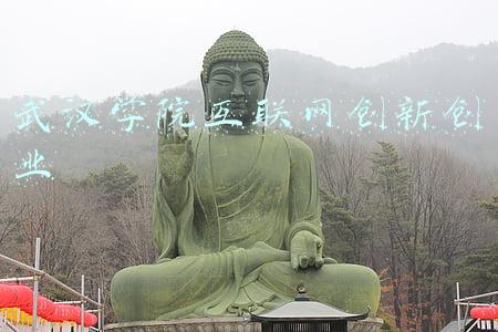 武汉音乐学院招生网(武汉音乐学院2022年招生简章)