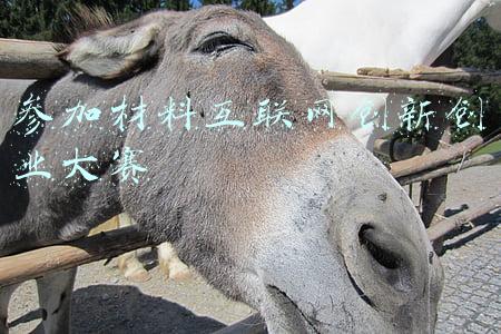 参加材料互联网创新创业大赛