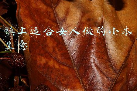 镇上适合女人做的小本生意