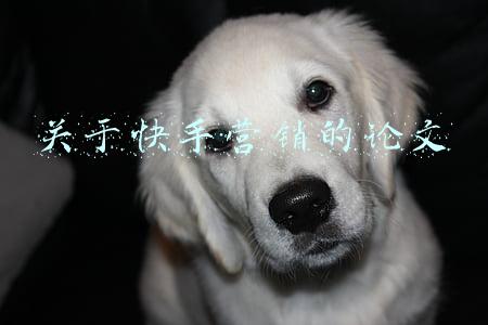 关于快手营销的论文