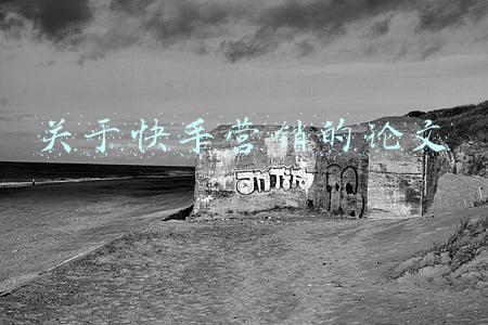 关于快手营销的论文
