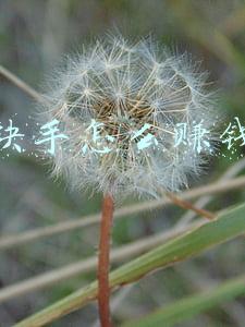 录快手怎么赚钱的