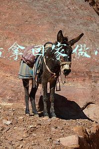 手工活拿回家做小本生意 手工活拿回家做小本生意